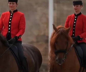 Replay Invitation au voyage - 03/10/2024 - À Chantilly, des chevaux et du sang bleu