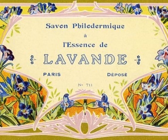 Replay Invitation au voyage - 18/02/2026 - La lavande, une certaine idée de la Provence