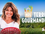 Replay Nos terres gourmandes - Le Forez, à fond la fourme