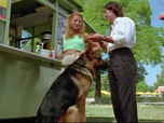 Replay Rex, chien flic - L'assassin des vieilles dames