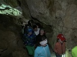 Replay ARTE JUNIOR Le magazine - Au fond d'une grotte témoin haut perchée