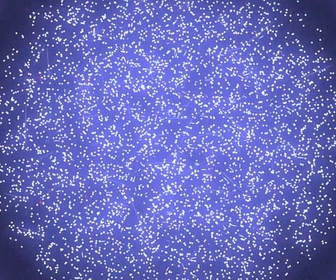 Replay Contre Goliath - Le mystère Satoshi, aux origines du bitcoin (5/6)