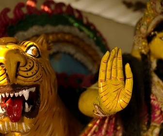 Replay ARTE Reportage - Inde : sous les crocs du tigre