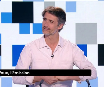 Replay Vrai ou faux, l'émission - Loi Duplomb : un copié-collé de la FNSEA ?
