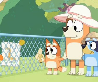 Replay Bluey - 14/10/2025