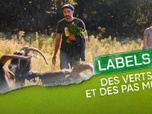 Replay Labels : des verts et des pas mûrs