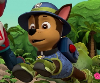 Replay Paw Patrol, la Pat'Patrouille - Une bulle dans la jungle