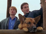 Replay Rex, chien flic - Le perdant