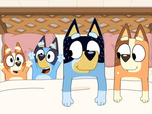 Replay Bluey - 17/09/2025
