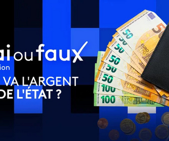 Replay Vrai ou faux, l'émission - Où va l'argent de l'État ?