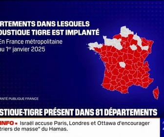 Replay 20H BFM - Le moustique tigre est désormais présent dans plus de 80% des départements français