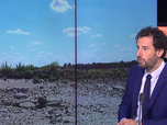 Replay Info éco - Le Rhin et le Danube au plus bas : la sécheresse menace l'industrie européenne