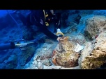 Replay Turquie : des plongeurs mettent au jour les trésors d'une épave vieille de 4 700 ans