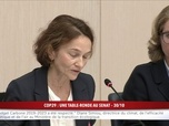 Replay 100% Sénat - Cop29 : une table ronde au Sénat