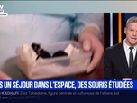 Replay BFM Première prématinale - Le break du 24 septembre