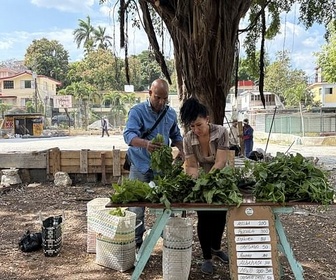 Replay Cuba : l'île qui vacille / Argentine : mission condors - ARTE Reportage