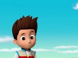 Replay Paw Patrol, la Pat'Patrouille - Le shampoing volumateur