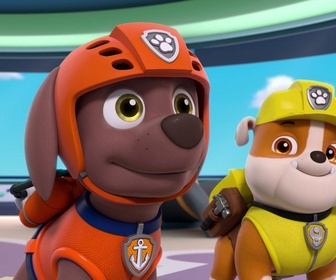 Replay Paw Patrol, la Pat'Patrouille - Digi et Tal, les robots assistants