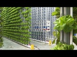 Replay Cultiver l'avenir pour améliorer l'approvisionnement alimentaire et créer des solutions