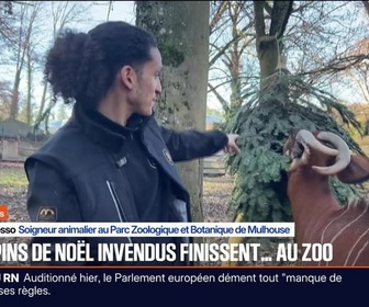 Replay BFM Première prématinale - Focus Régions - 16/01