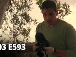 Replay Les experts : Miami - S03 E593 - Chasse à l'homme partie 1