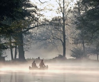 Replay La forêt humide de la Spree - Histoires d'eaux