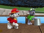 Replay Paw Patrol, la Pat'Patrouille - Maurice sème la pagaille