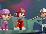 Replay Paw Patrol, la Pat'Patrouille - Ruben l'extraterrestre