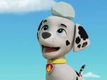 Replay Paw Patrol, la Pat'Patrouille - Des chèvres en danger