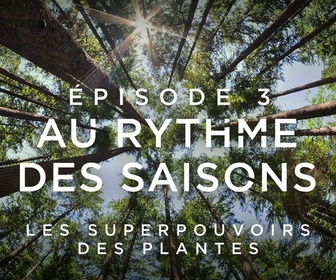 Replay Les superpouvoirs des plantes - 04/02/2025