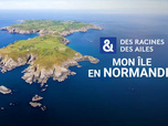 Replay Des Racines et Des Ailes