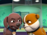 Replay Paw Patrol, la Pat'Patrouille - Que le meilleur gagne !