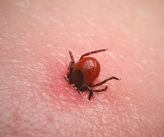 Replay La peur - Ma guerre des mondes (1/5)