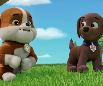 Replay Paw Patrol, la Pat'Patrouille - Le concert de M. Hellinger