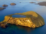 Replay Galapagos, des îles enchantées - Les derniers paradis sauvages