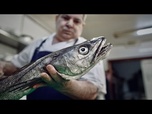 Replay Comment les efforts européens ont permis de sauver le merlu de l'extinction