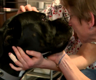 Replay Dr Cath - S1 E17