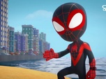 Replay Spidey et ses Amis Extraordinaires - L'Homme-Sable ne partage pas