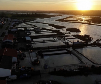 Élément Terre, Le Reportage replay