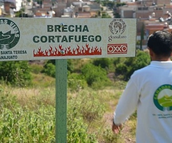 Replay Urgence climatique : un défi mondial - Mexique : faire renaître la forêt incendiée