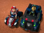 Replay Paw Patrol, la Pat'Patrouille - Danny le faucon