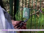 Replay On a de l'info - Biodiversité : des tunnels pour protéger les hérissons