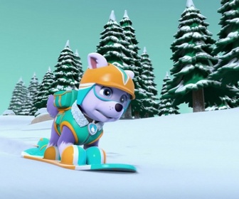 Replay Paw Patrol, la Pat'Patrouille - Panique sur les pistes