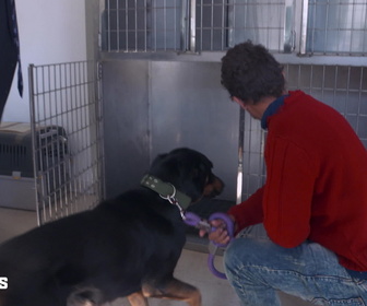 Replay Au cœur des douanes - S4E1 - Episode 1