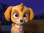 Replay Paw Patrol, la Pat'Patrouille - Les chiens-sirènes