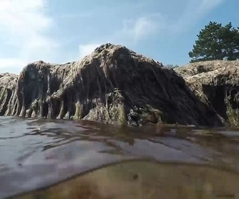 Replay ARTE Journal - Les algues, fléau de la mer Baltique