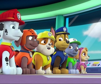 Replay Paw Patrol, la Pat'Patrouille - S02 E39 - L'os de dinosaure