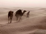 Replay Sirocco, le souffle du désert - Grands vents