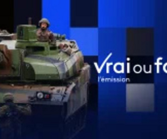 Replay Vrai ou faux, l'émission - La France peut-elle compter sur son armée en cas de guerre ?