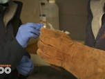 Replay Une saison au zoo - S13 E38